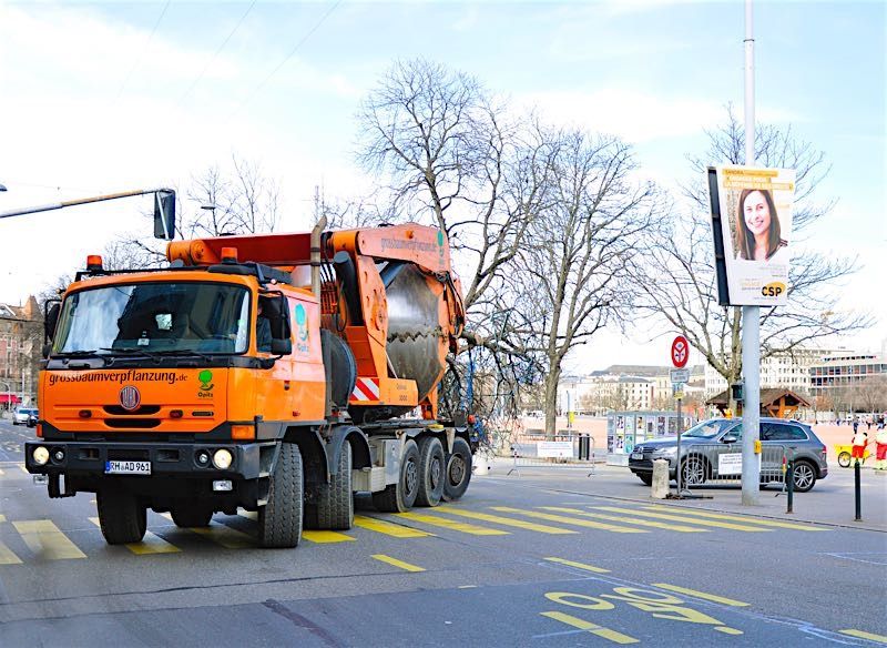 Grossbaumverpflanzung in Genf – Plaine de Plainpalais, 2017 – Bild 4 von 24