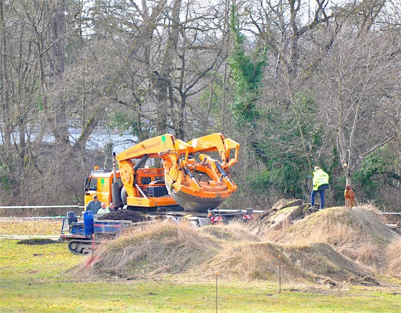 Grossbaumverpflanzung in Genf – Plaine de Plainpalais, 2017 – Bild 14 von 24