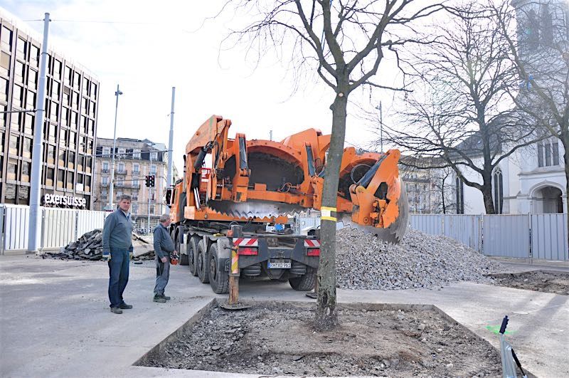 Grossbaumverpflanzung in Genf – Plaine de Plainpalais, 2017 – Bild 19 von 24